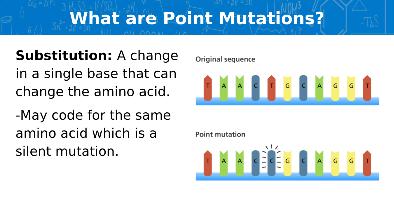 Genetic Mutations Lesson