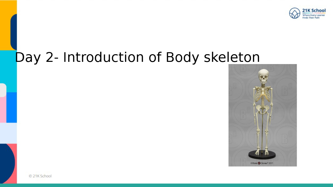 Revisit Skeleton System Lesson