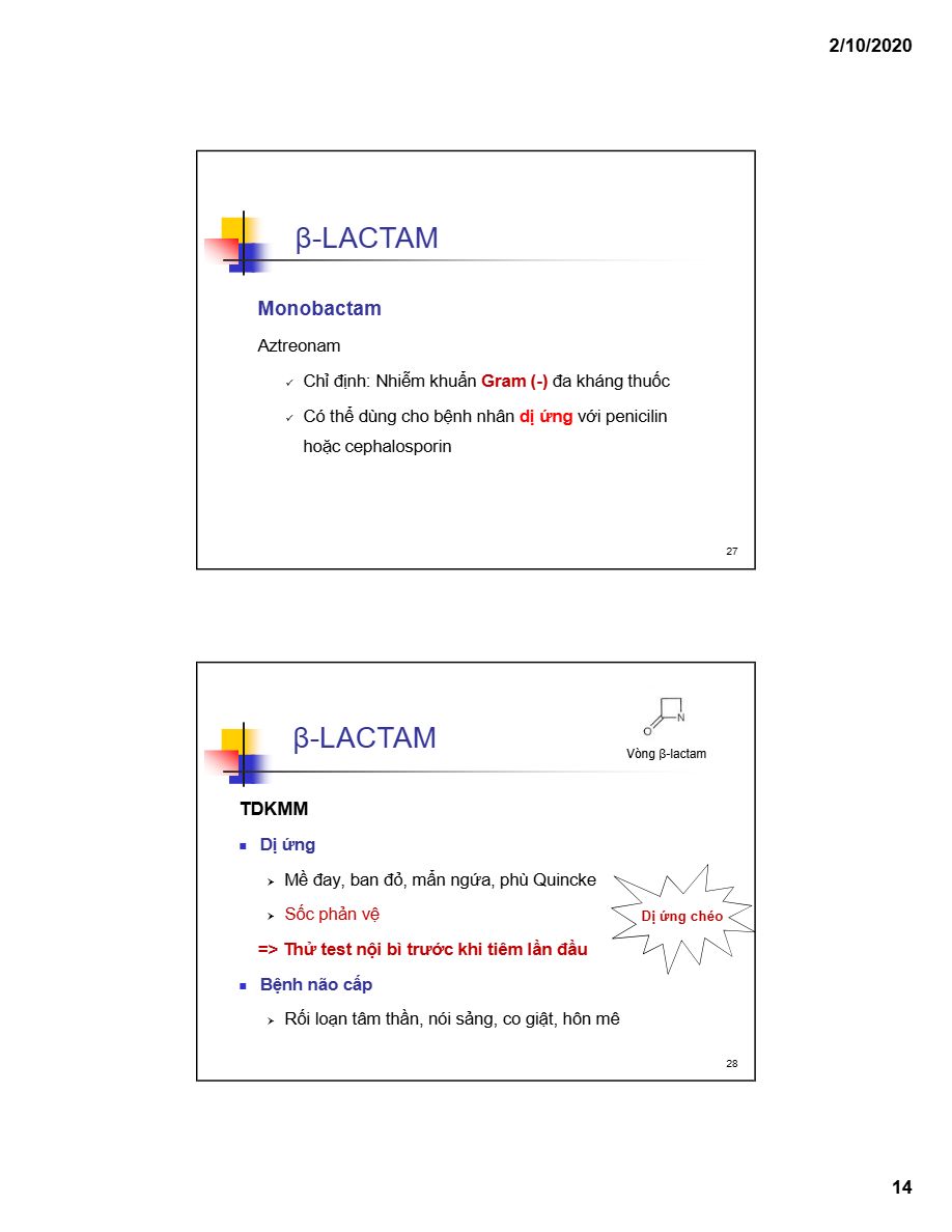 β-lactam