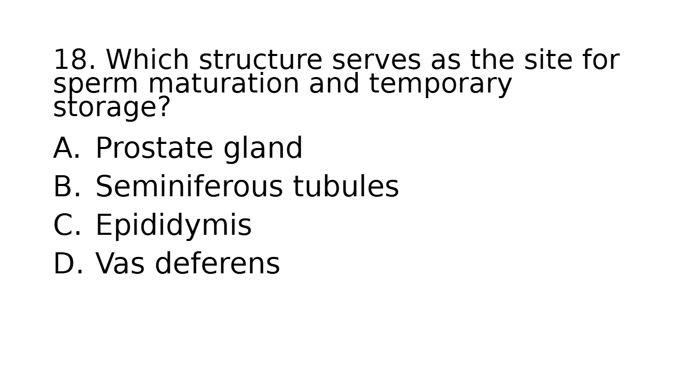 media