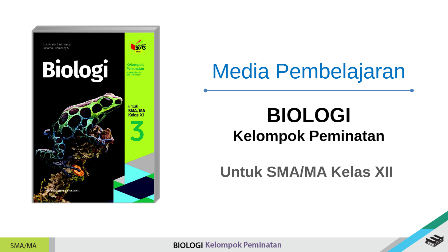 media