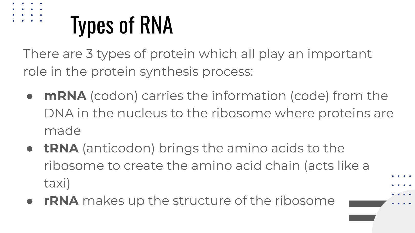 SP26 Genetics Notes: RNA thru Mutation Lesson