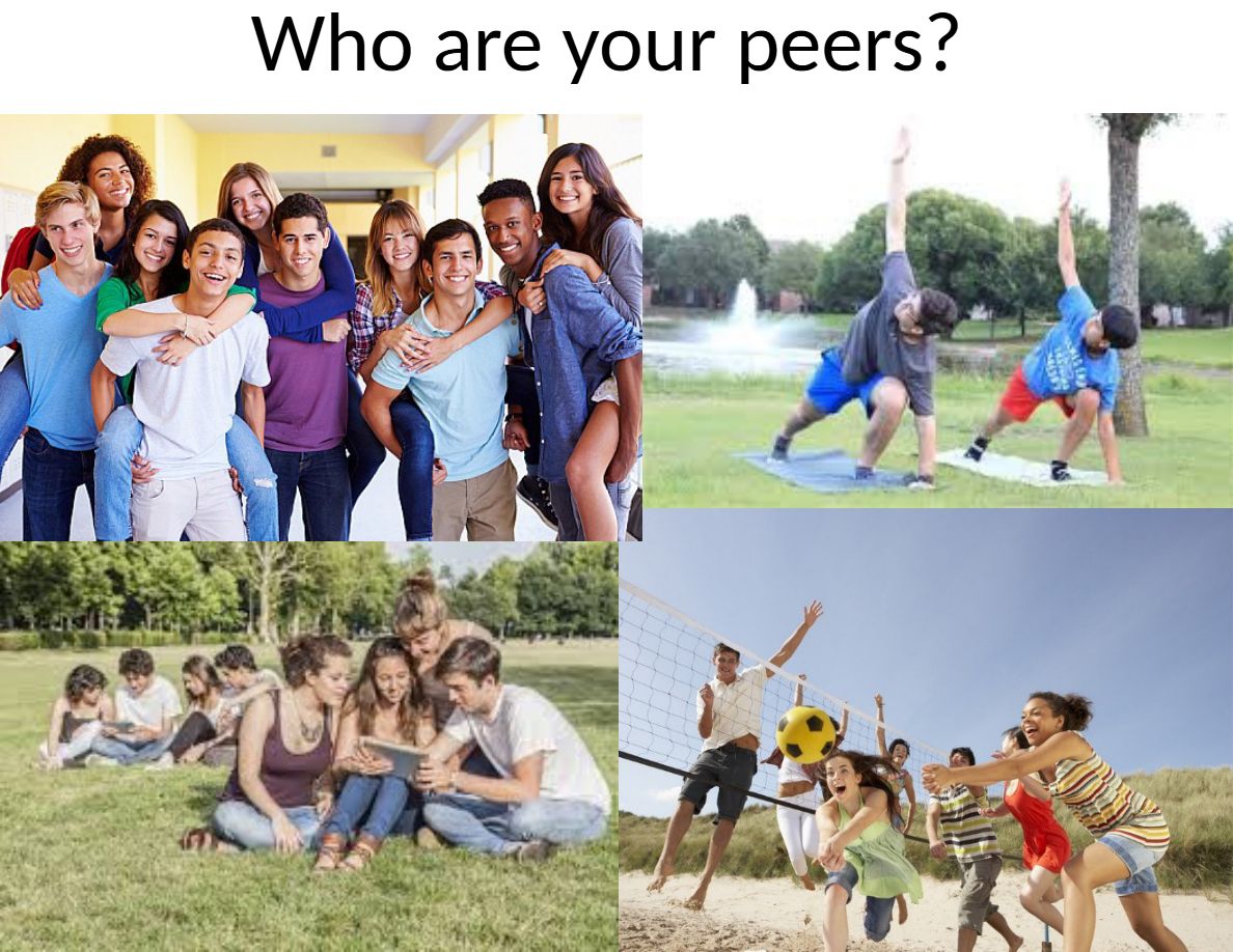 media