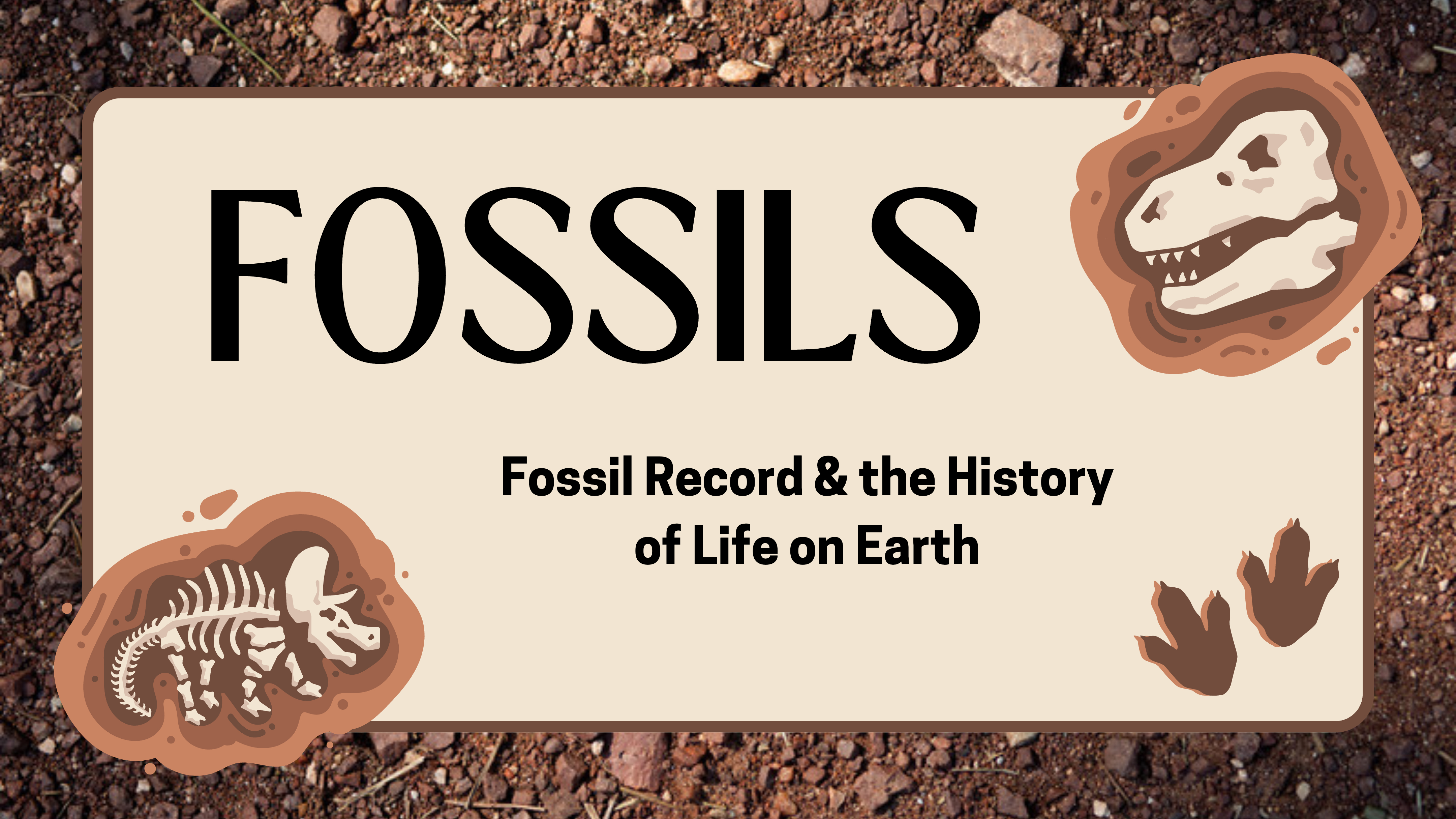 Fossils & Geo Time Lesson