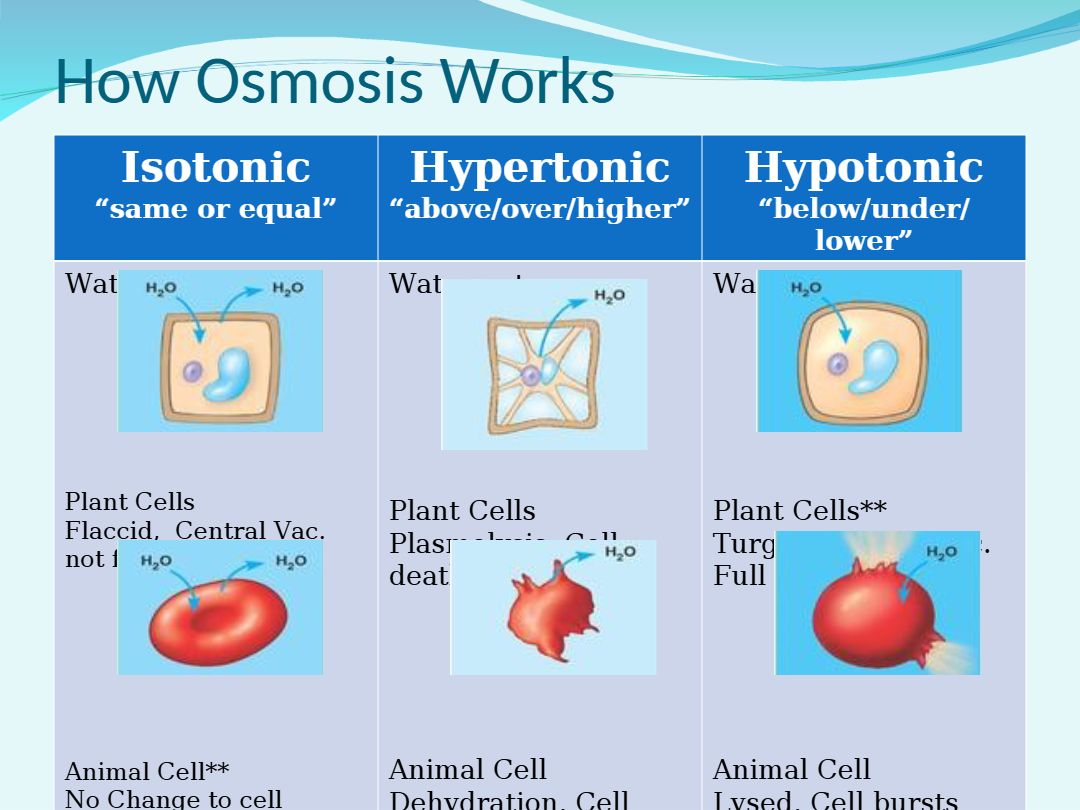 media