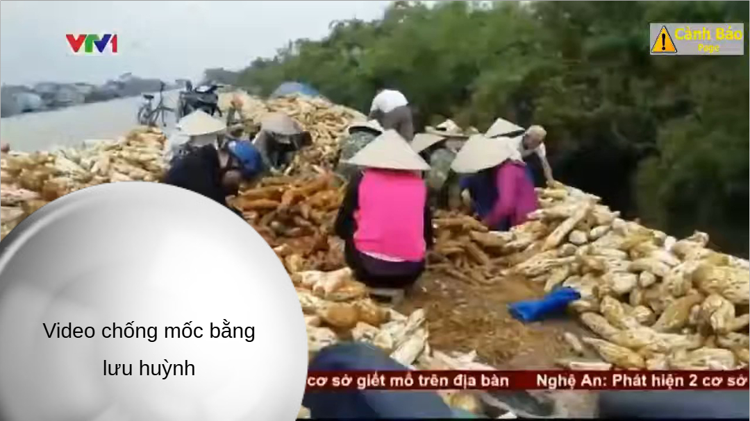 media