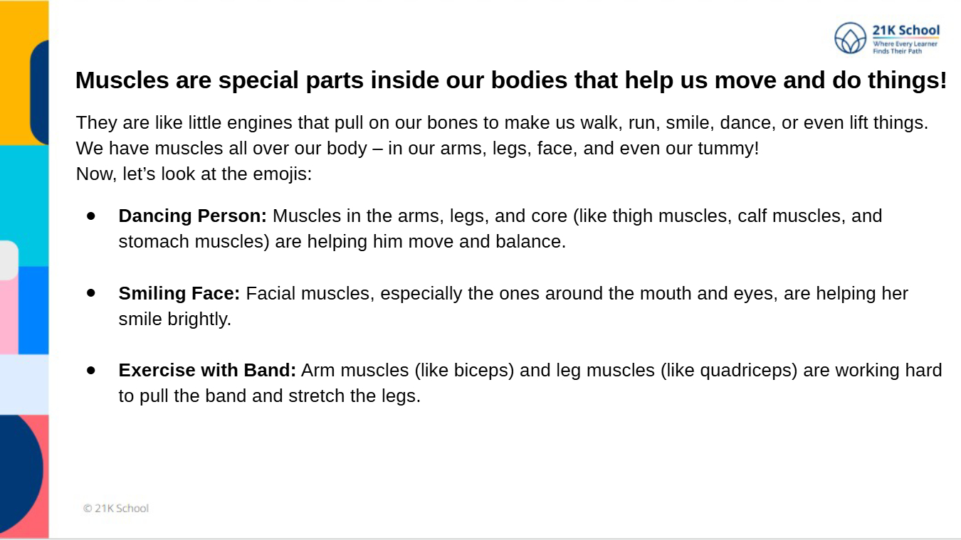 Muscular system Lesson
