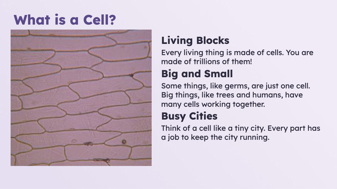 Cell Structure Lesson